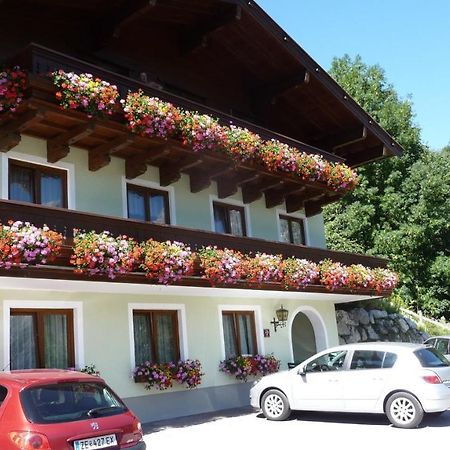 Haus Rieder Georg Apartment Maria Alm am Steinernen Meer Ngoại thất bức ảnh
