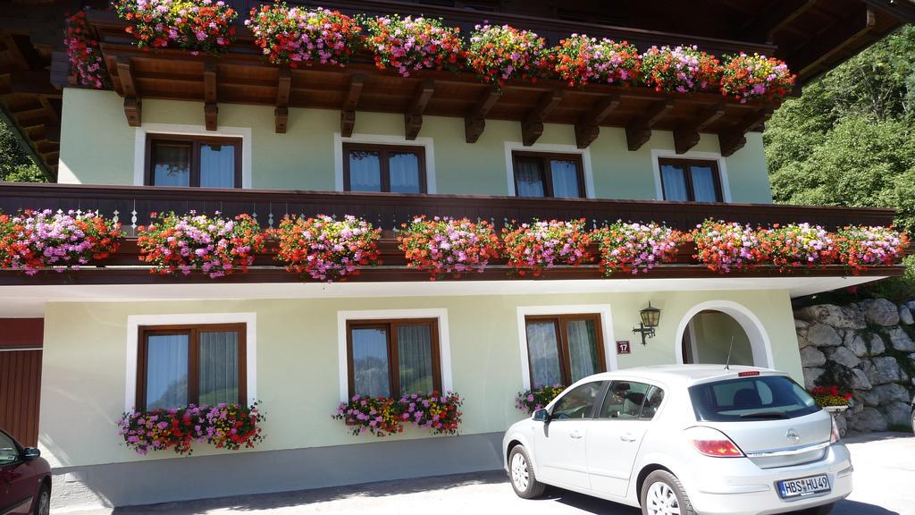 Haus Rieder Georg Apartment Maria Alm am Steinernen Meer Ngoại thất bức ảnh