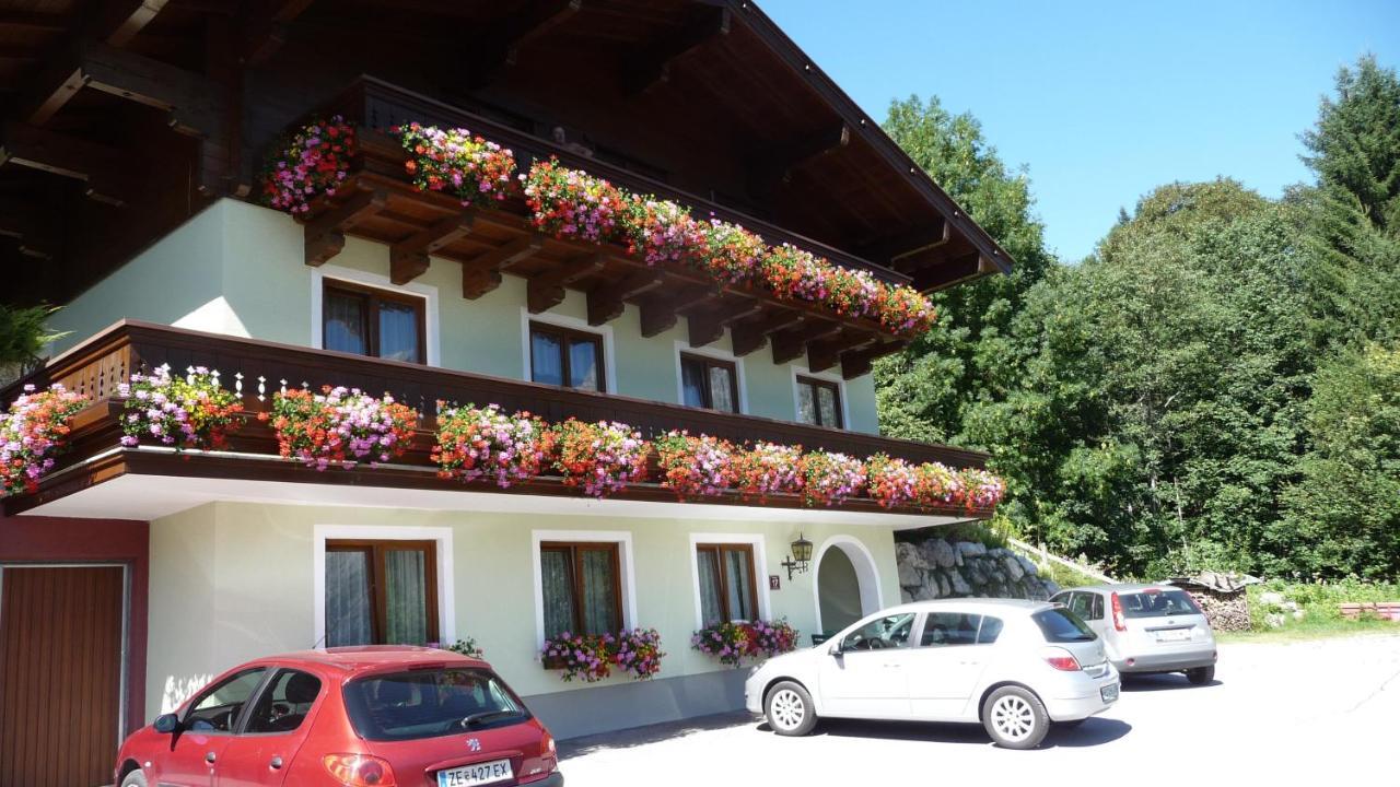 Haus Rieder Georg Apartment Maria Alm am Steinernen Meer Ngoại thất bức ảnh